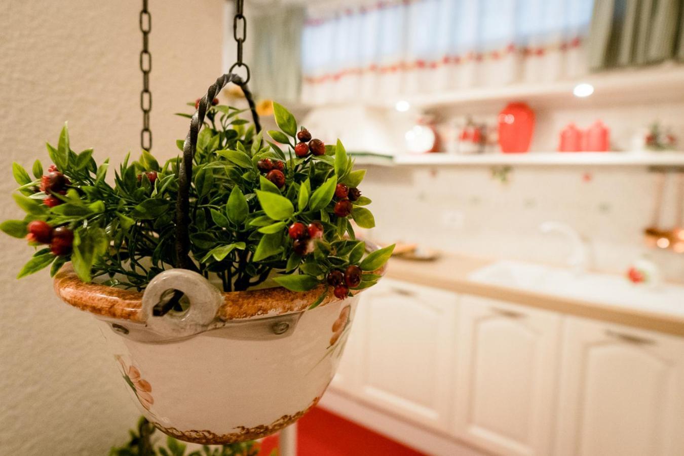 Appartamento Il Papavero Rosso Grosseto Ngoại thất bức ảnh